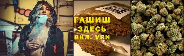 стаф Балахна